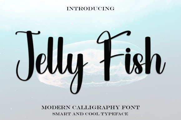 Jelly Fish Font: A Simple Upgrade for Your Business Brand