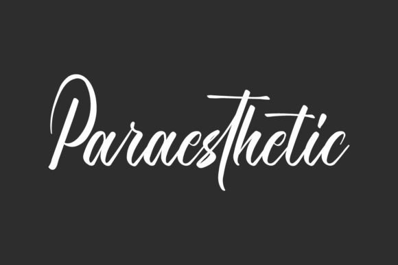 Paraesthetic: A Script Font for Elegant Editorial Designs