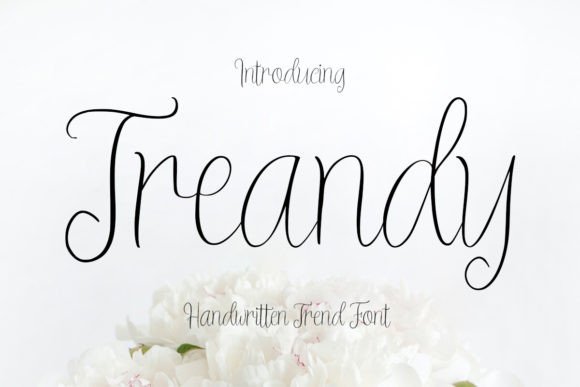 Treandy: The Font That Feels Like a Warm, Confident Smile